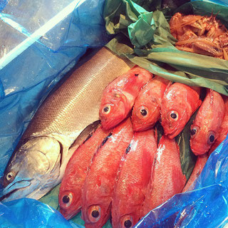 Pesce e Gamberi 鮮魚と天然エビ