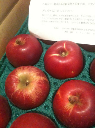 Mele 木村さんの奇跡のリンゴ